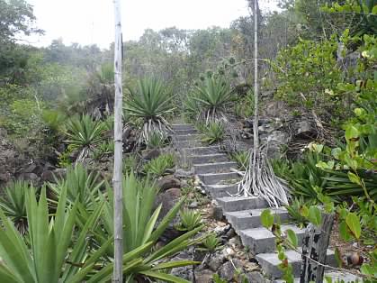 Let's get started. Anne Jennings Brown&rsquo;s home on the coast of Roatan, Honduras