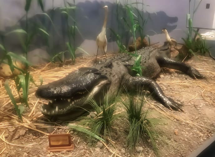 unexpected delights in Port Arthur, Texas