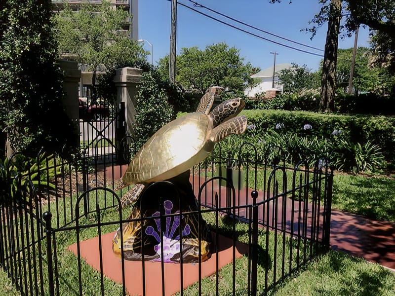 Surprises in Galveston