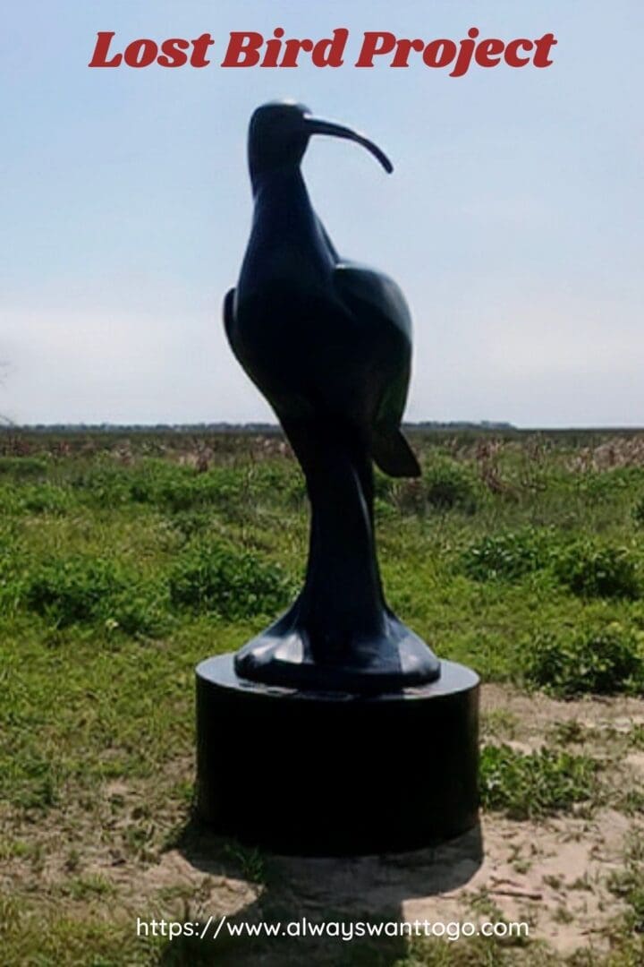 Surprises in Galveston
