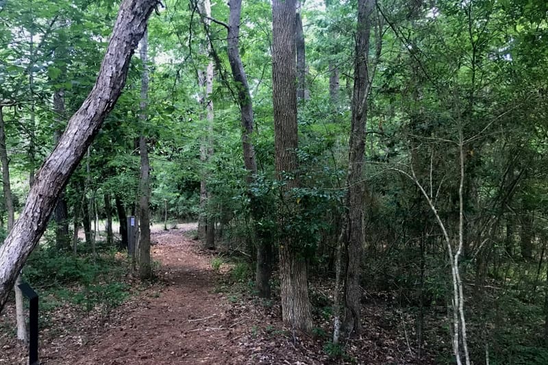 Polk and Tyler Counties adventure