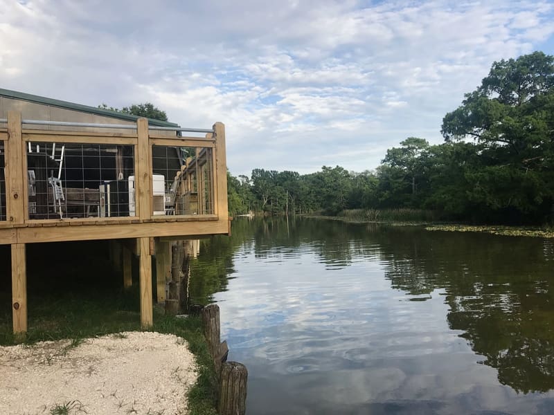 unexpected delights in Port Arthur, Texas