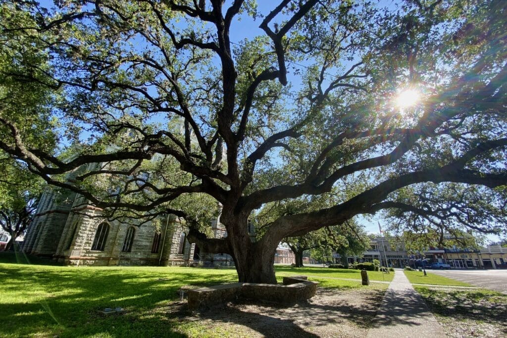 If you enjoy Texas History you'll love Presidio La Bahia