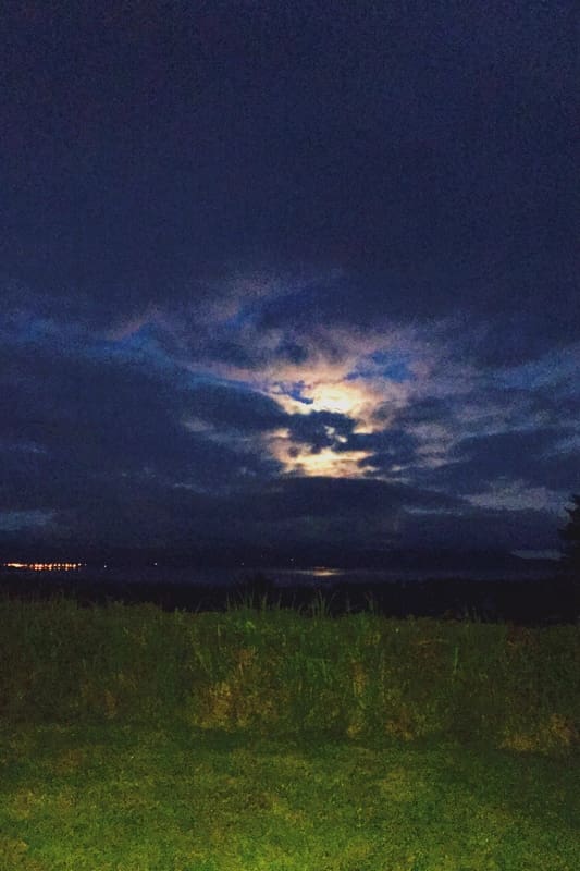 Night view from back yard