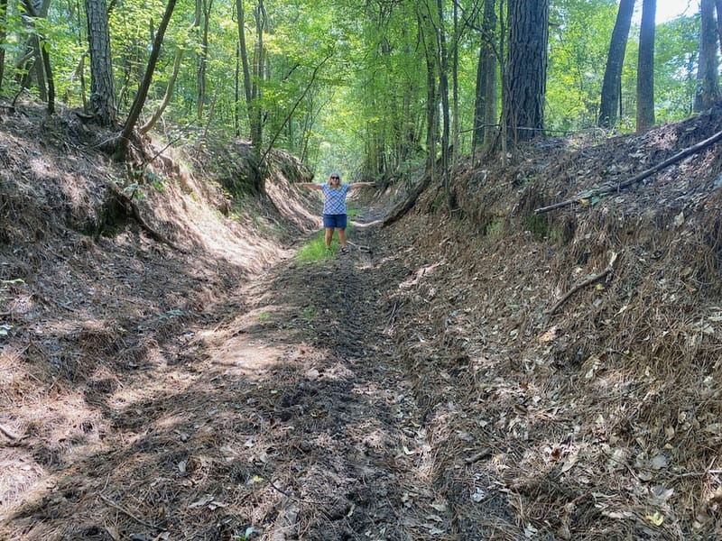 finding history in the Piney Woods