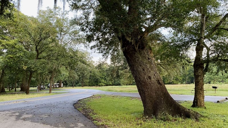 How had we missed this great park?
