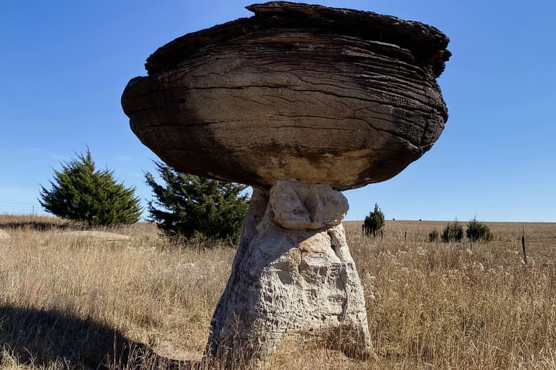 Kansas secrets