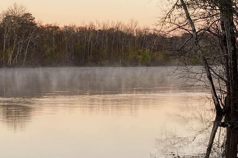 Alluring Apalachicola