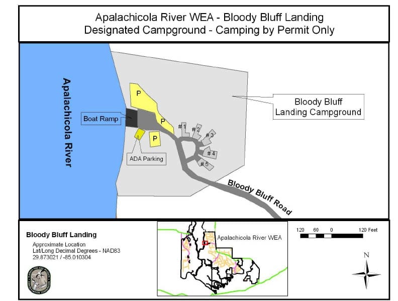 Alluring Apalachicola