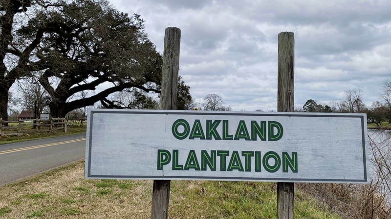 We discovered a winery, national forest, and three plantations
