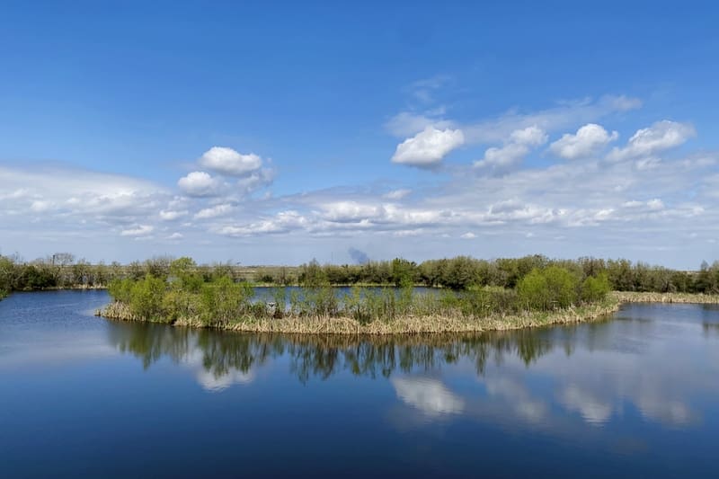 Why do we love the Texas Gulf Coast?