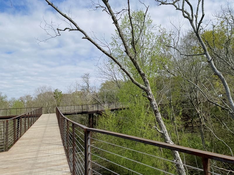 Why do we love the Texas Gulf Coast?