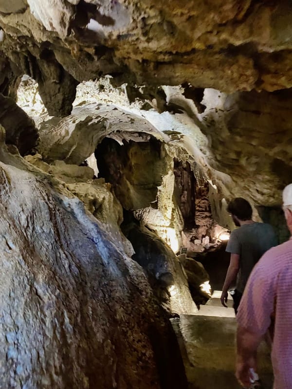 We made a few great discoveries in Tennessee. 