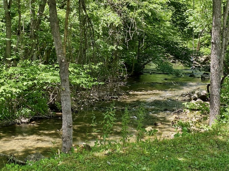 We made a few great discoveries in Tennessee