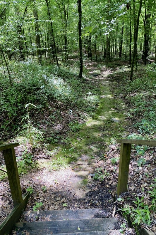 You would love a visit to Port Gibson