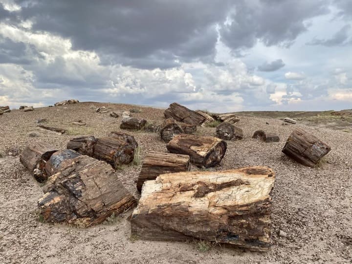 A spectacular RV trip in scenic Arizona