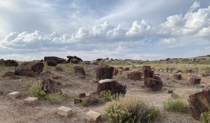 A spectacular RV trip in scenic Arizona