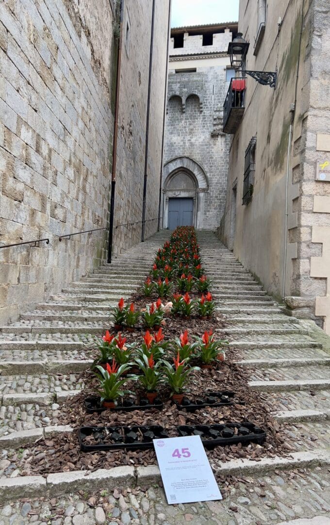 Girona's history, legends, and beauty