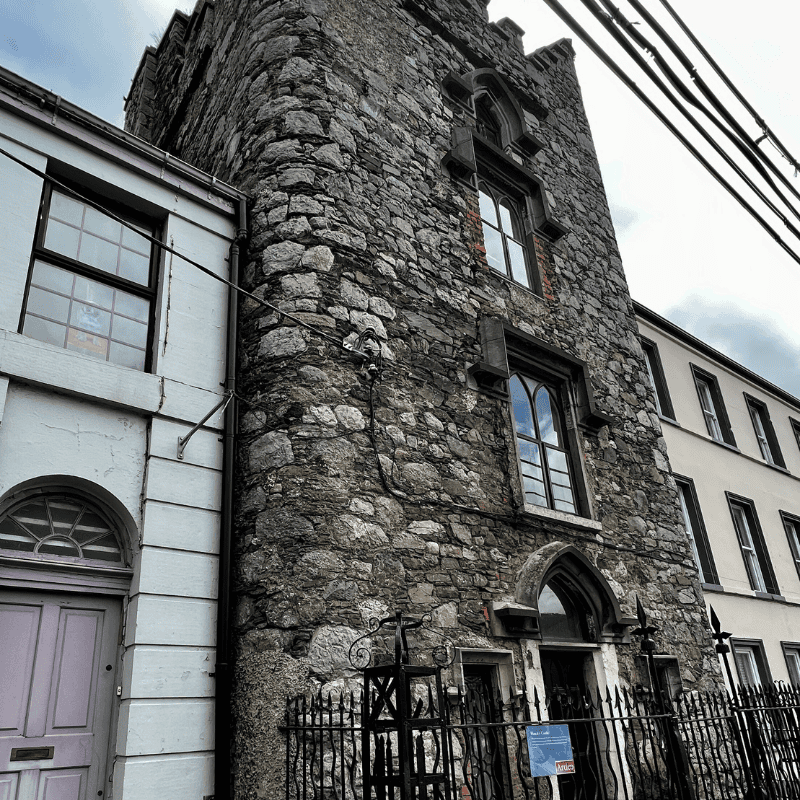 ancient history in County Louth