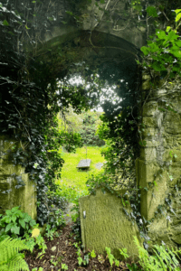 A day trip exploring Ireland