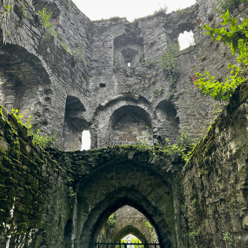 a day trip exploring Ireland