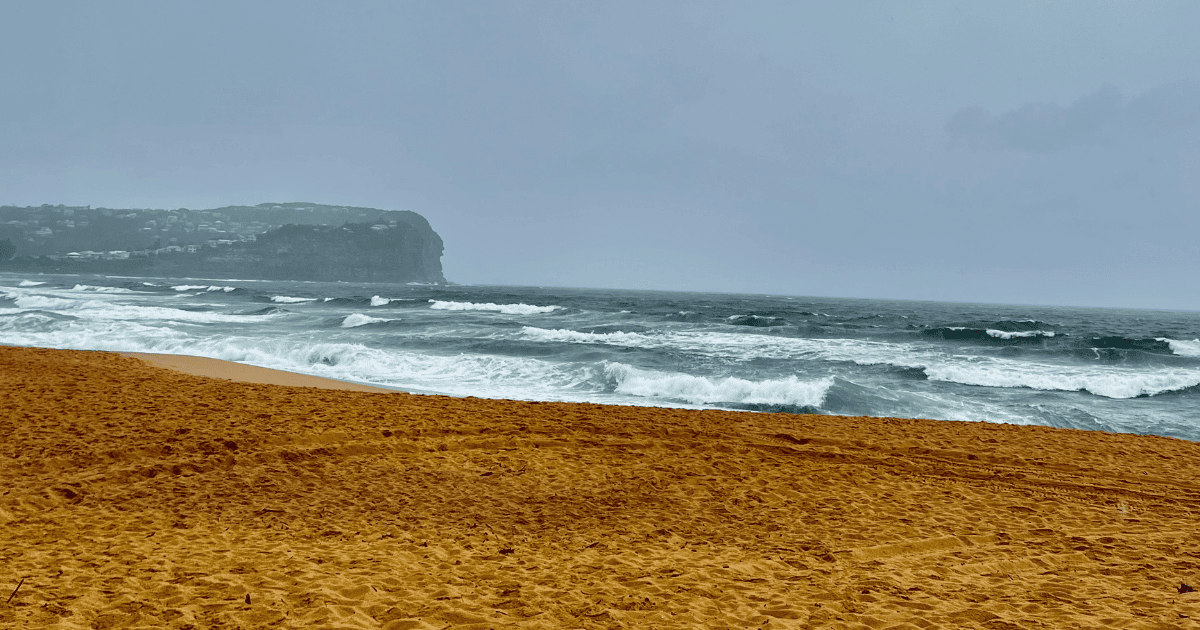 Australian beaches, reptiles, and the best B&B