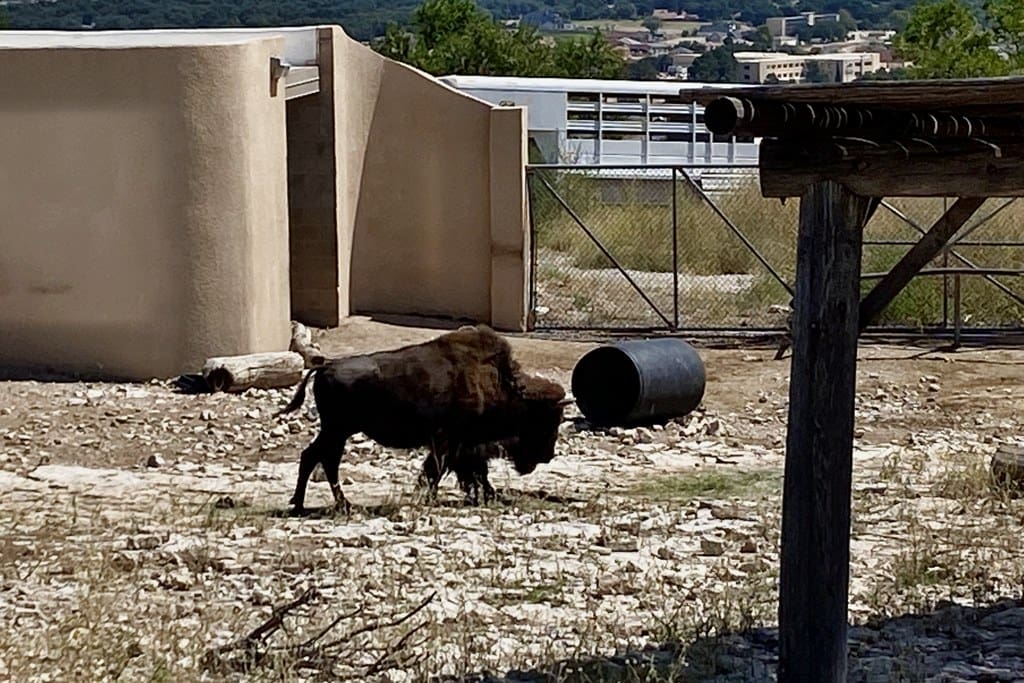 Why vacation in Carlsbad, New Mexico?