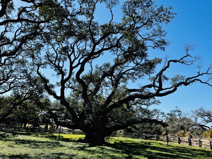 Six great things to see in Rockport