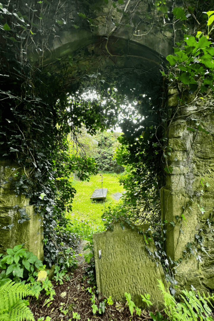 A day trip exploring Ireland